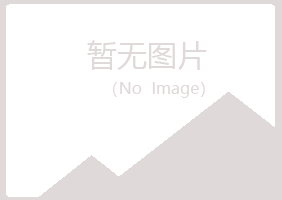 广西夏岚化学有限公司